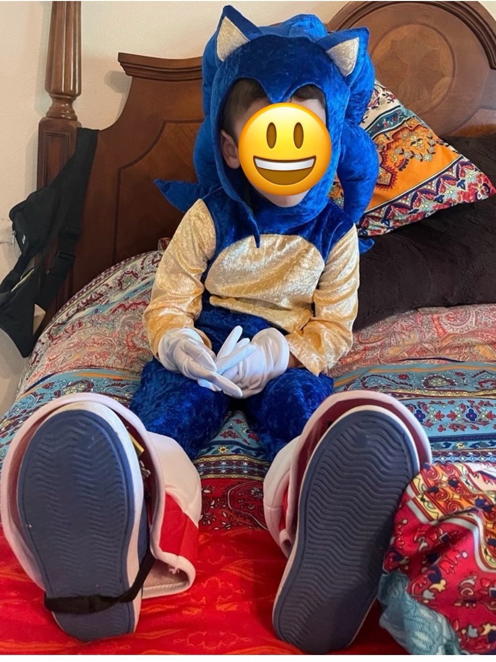 Kids Blue and Gold Hedgehog Costume with Shoe Covers